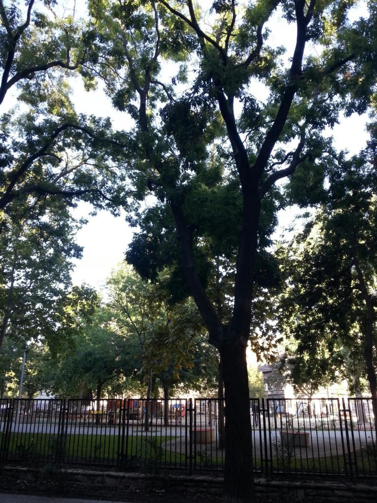 Apartman Sunny Facing The Park Budapest